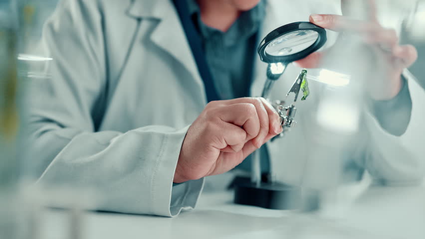 Science, lab and person with magnifying glass for plant for medical research, natural vaccines and medicine. Healthcare, pharmaceutical and scientist for gmo study, medicinal analysis and experiment - Powered by Shutterstock - Get 15% off with code: PIKWIZARD15