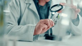 Science, lab and person with magnifying glass for plant for medical research, natural vaccines and medicine. Healthcare, pharmaceutical and scientist for gmo study, medicinal analysis and experiment - Powered by Shutterstock - Get 15% off with code: PIKWIZARD15