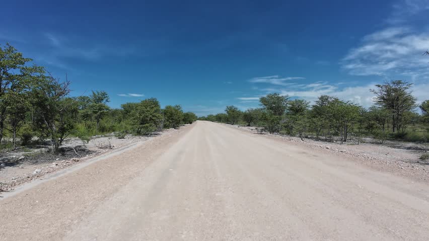 Dusty road in Etosha National Park in Namibia. Wild animals aside th road