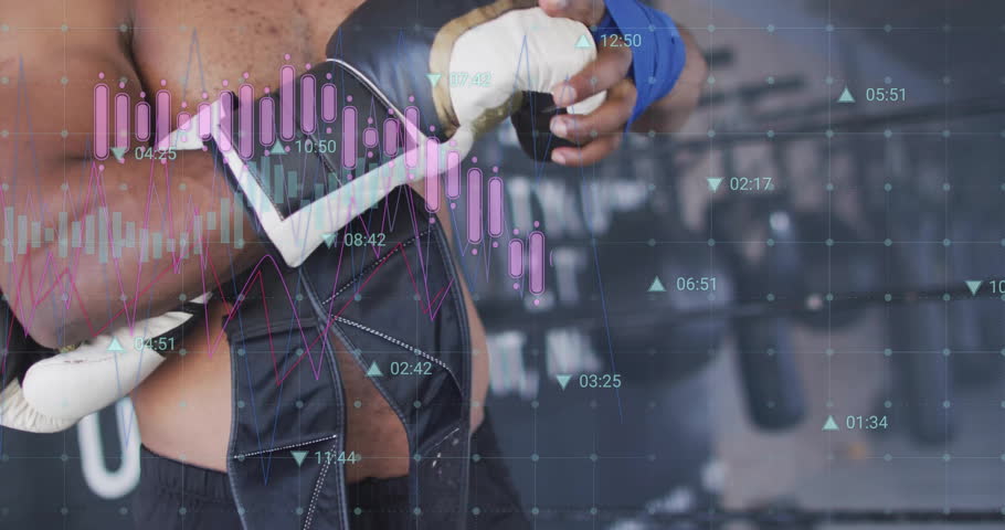 Shutterstock Video