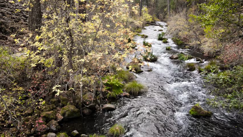 Aerial shot of a Asian female hiker walking across a bridge over Burney Creek in Northern California.