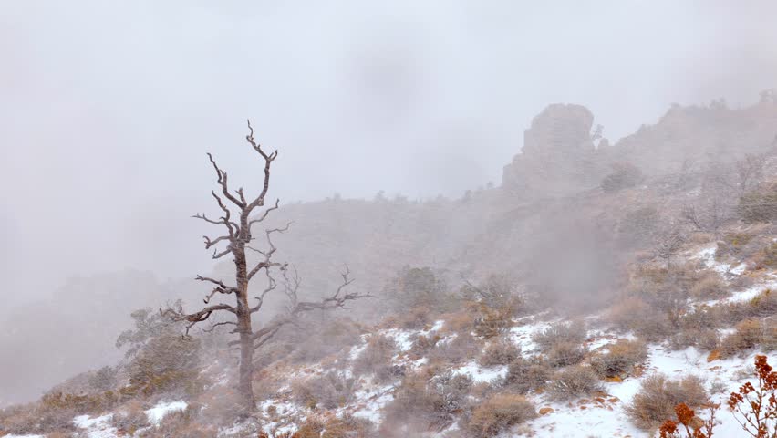 Winter snow storm at the Grand Canyon National Park in Arizona.