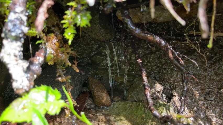A small flow of water after a rain storm through the earth just off the Appalachian Trail