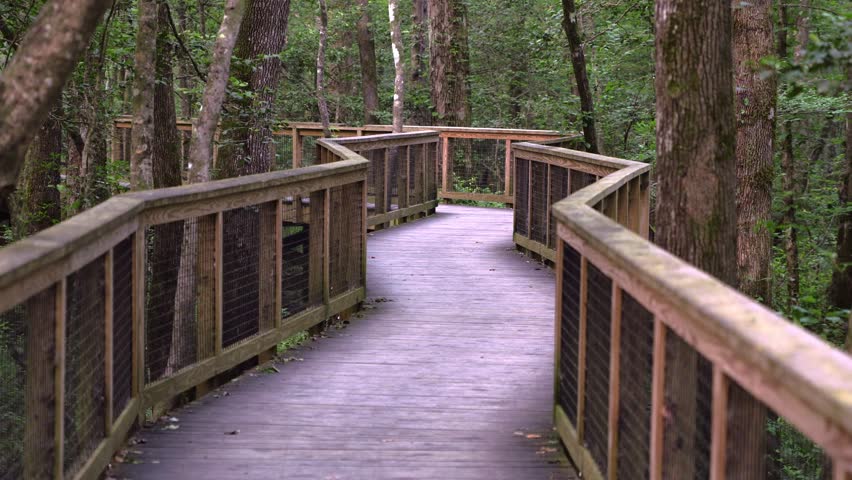 Slow zoom out of Boardwalk Trail in Congaree National Park South Carolina