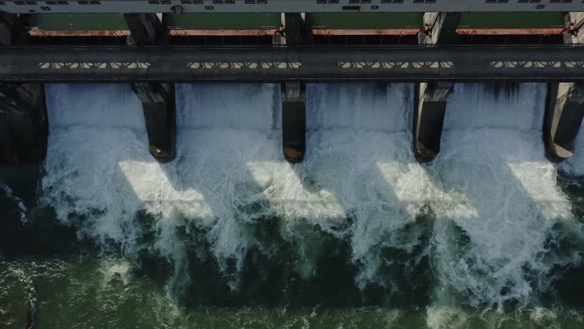 Shutterstock Video