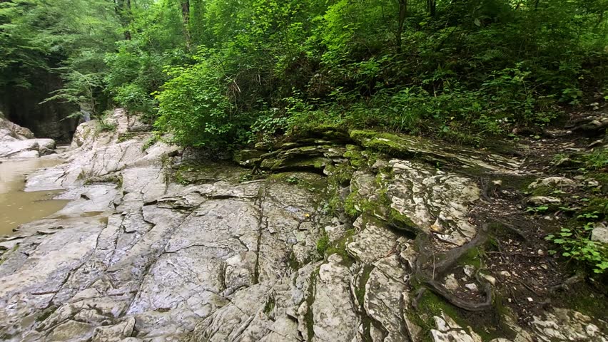 View of the park in the mountains forest landscape