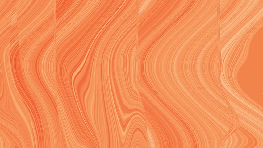 Shutterstock Video