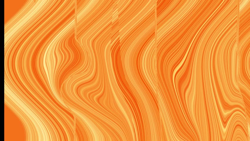Shutterstock Video