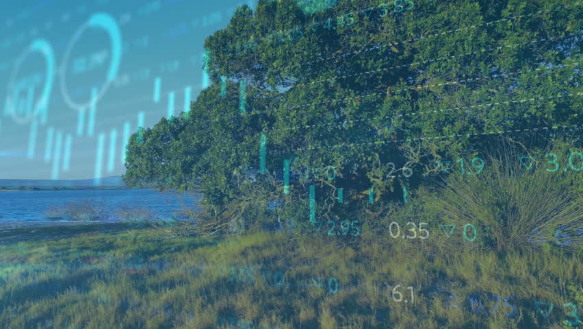 Shutterstock Video