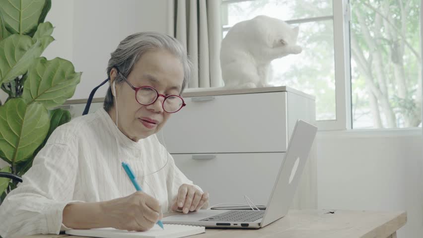 Shutterstock Video
