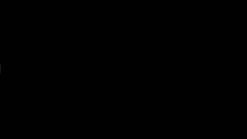 Shutterstock Video