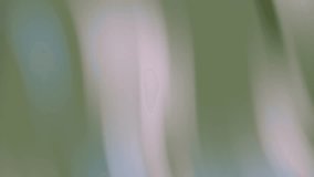 This video features a seamless loop of abstract motion blur in shades of green and beige. The soft, pastel tones create a calming and serene atmosphere. Vertical lines of blurred light and shadow fl - Powered by Shutterstock - Get 15% off with code: PIKWIZARD15