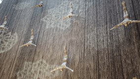 Time-lapse video of the iconic Dubai Mall indoor waterfall featuring human diver sculptures, creating a dramatic visual of motion and elegance inside the world’s largest shopping mall. - Powered by Shutterstock - Get 15% off with code: PIKWIZARD15