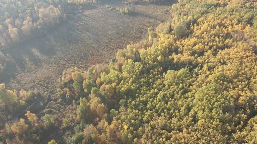 Drone based aerial looking down at an autumn colored forest and small beaver creek with early morning hazy mist.