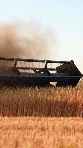 Large harvester harvests grain, sun day. Agricultural business. Harvester mower mechanism cuts wheat spikelets. Agricultural work harvesting, wheat grain. Harvester moves in field and mows ripe wheat