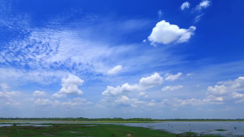Serene Landscape: Birds in Flight Over Water and Sky