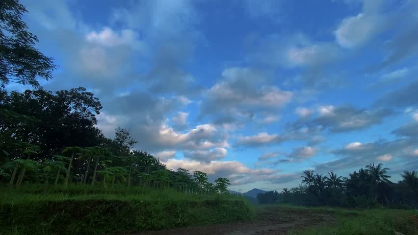 Clouds over the forest Footage background nature video in 4K