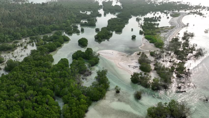 Aerial drone shot of mangrove forest on winding river, ideal for ecology, wetland, and nature
