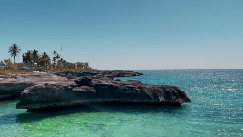 Tropical landscape of the Caribbean coast with a rock and palm trees on Isle of Youth, Cuba.