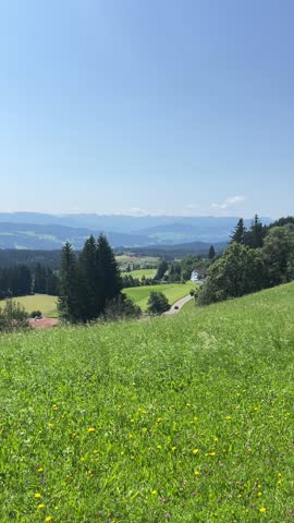 Sweeping view from a grassy hillside with yellow flowers, overlooking green hills, forests, a road, and distant mountains under a clear blue sky in Vogtland, Saxony, Germany.