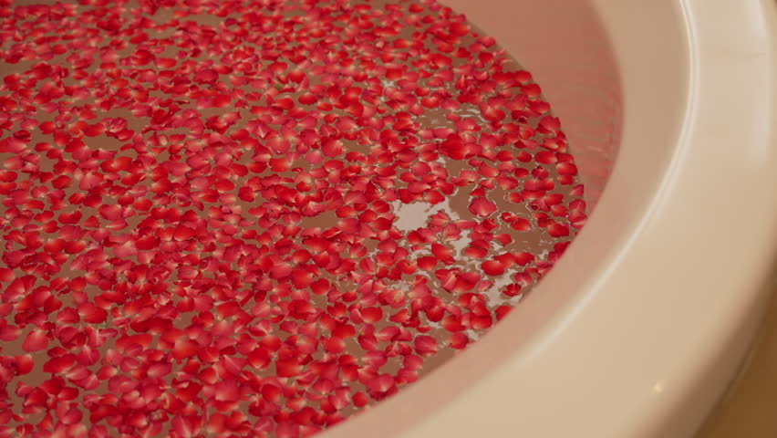 red rose petals float gently on calm water surface in spa bathtub during slowmotion moment creating relaxing ambiance for wellness and aromatherapy treatment with romantic natural fragrance