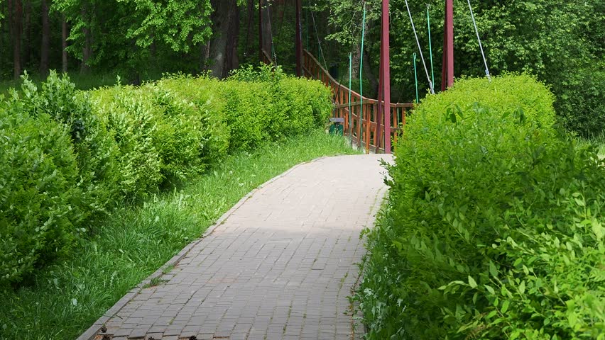 suspension bridge on ropes across the river