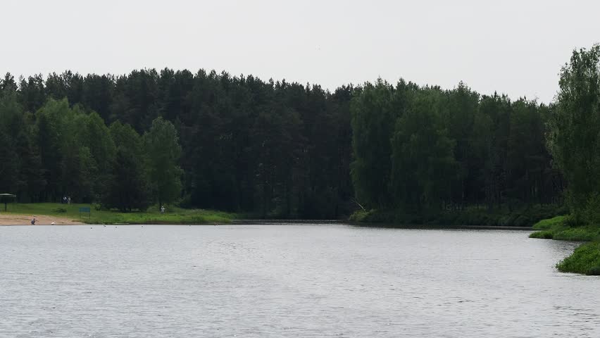 video wind drives waves on the lake shores with reeds and trees