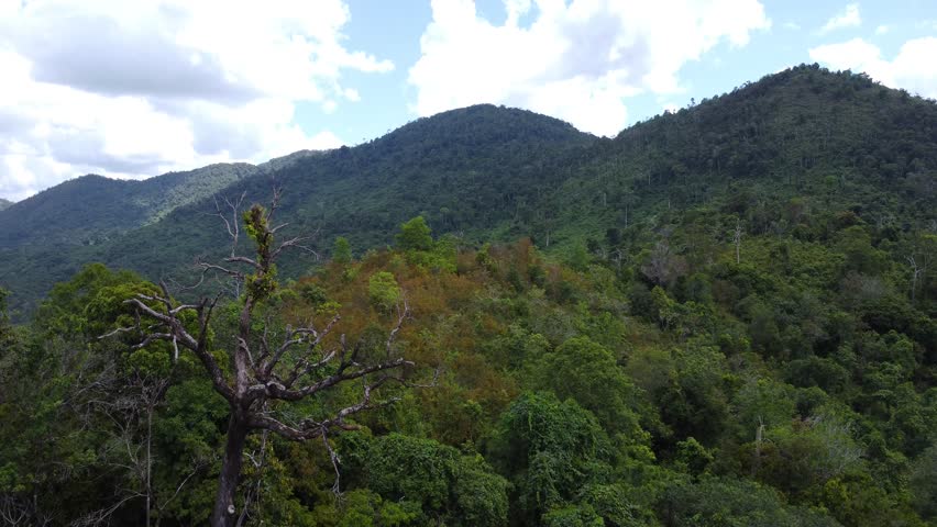 Beautiful mountain view filled with dense trees, close up aerial view