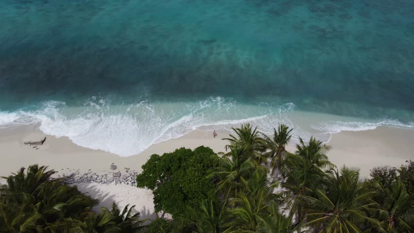 Aerial drone view revealing a woman behind palm trees walking on the Maldivian landmark - beautiful sandbank. Drone video at stunning seascape. Fuvahmulah island.Maldives