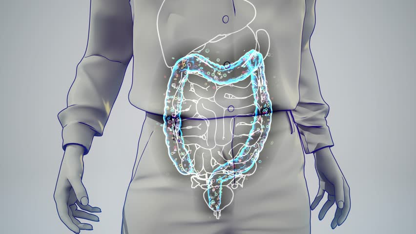 Conceptual 3D animation of a woman's gut