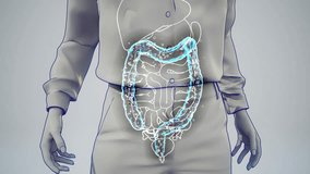 Conceptual 3D animation of a woman's gut - Powered by Shutterstock - Get 15% off with code: PIKWIZARD15
