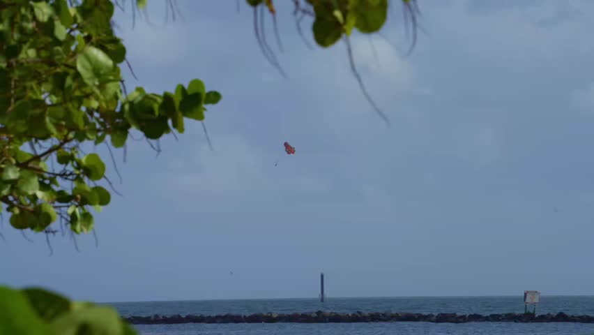 A distant parasail drifts through a blue sky above open water, framed by lush coastal greenery and a long breakwater.