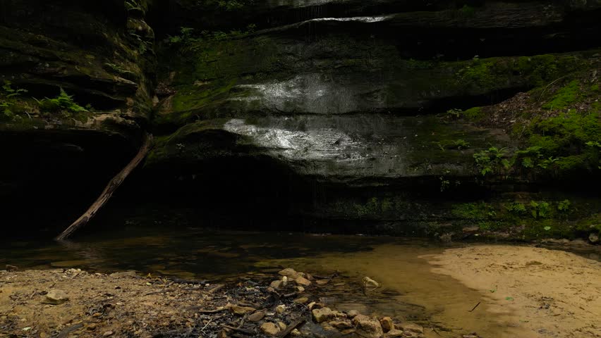 A shot panning up a lush canyon wall with water trickling down. Moss and ferns can be seen growing on the canyon walls, and the water trickling down is rippling the still pool at the foot of the wall.