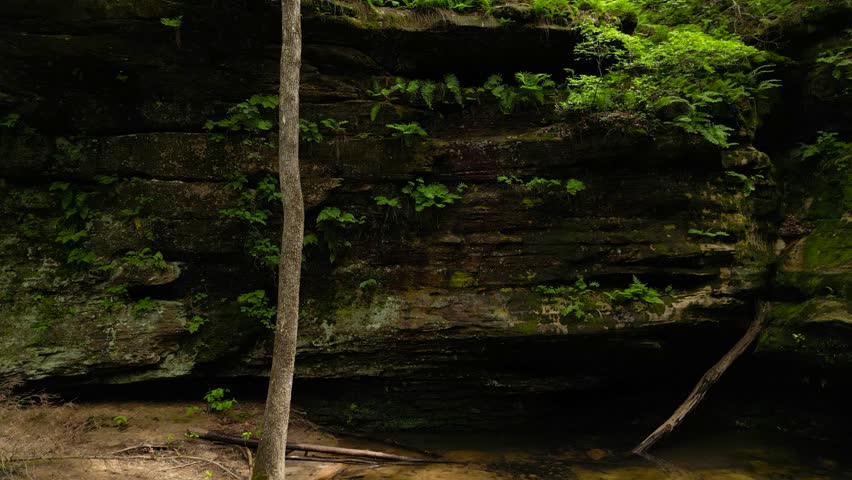 A shot looking up the lush walls of Hickory Canyon in Missouri. The wet sandstone walls are covered in mosses and ferns.