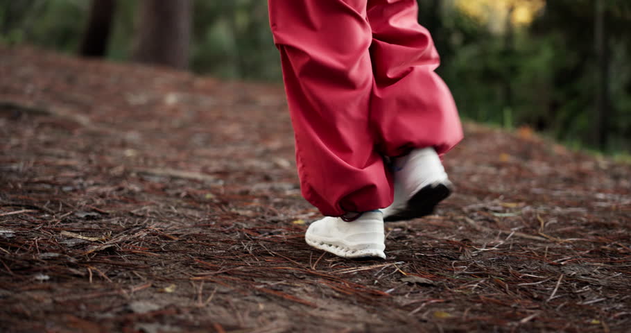 Person, hiking and legs on trail in forest, outdoor adventure and nature with steps or shoes. Back view, walking and feet on ground in woods to explore for tourism, journey or holiday with footwear