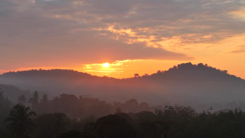 Dramatic morning sunrise over an Asian oil palm plantation. Golden light pierces through low mist, casting long shadows across neat rows of palm trees and creating a warm, cinematic landscape.