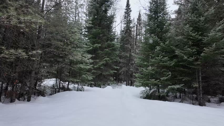 Algonquin Provincial Park, Ontario, Canada in the winter