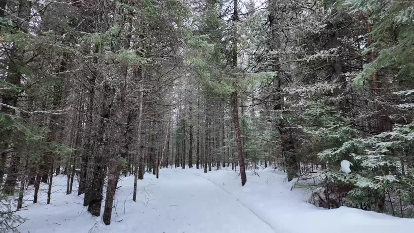 Algonquin Provincial Park, Ontario, Canada in the winter
