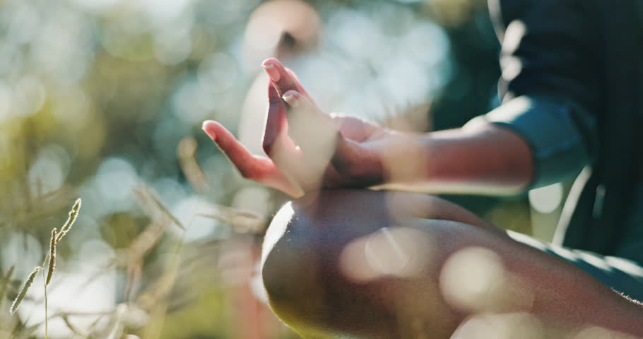 Yoga, person and hand in nature with mudra, meditation or outdoor with peace to align chakra. Yogi, lotus pose or zen in park for wellness, spiritual healing or mindfulness with balance for self care