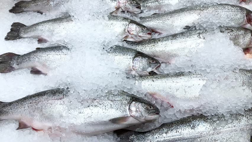 fresh fish and seafood in supermarket