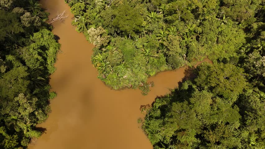 The Amazon rainforest is home to numerous lakes, which are important parts of the ecosystem and contribute to the region