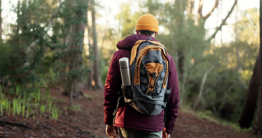 Man, back and hiking with bag in forest for adventure, outdoor journey or trail in nature. Male person, hiker and walking with backpack or trees on natural path for trekking or fitness in woods