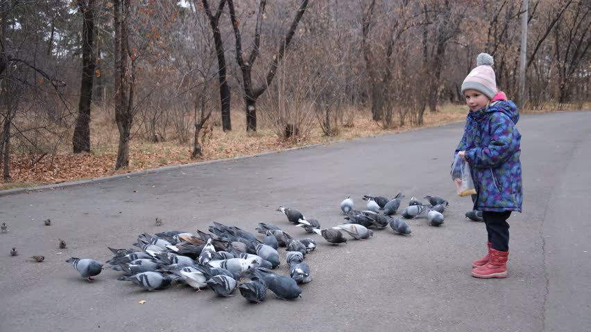 Child feeding birds pigeons in the park in spring or autumn. Playful, cute girl. recreational pursuit, candid	
