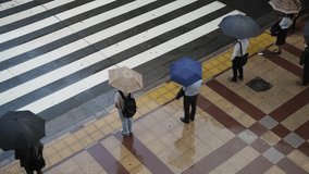 Crowd of Busy business people pedestrian holding umbrella walking city street crosswalk in raining day. High angle view group of People crossing the road and traffic driving car in downtown district. - Powered by Shutterstock - Get 15% off with code: PIKWIZARD15