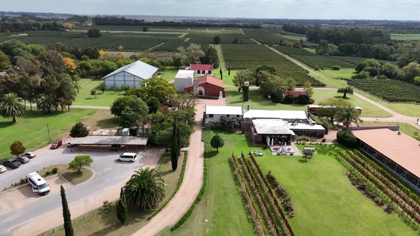 Aerial view of Bouza Winery near Montevideo, Uruguay, showing aligned vineyard rows, green fields, and rustic buildings under a cloudy sky.