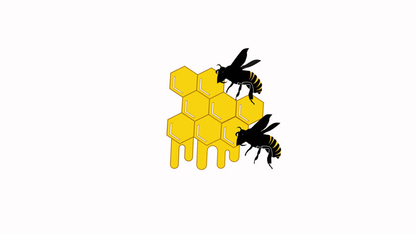 bee icon animation illustration flat