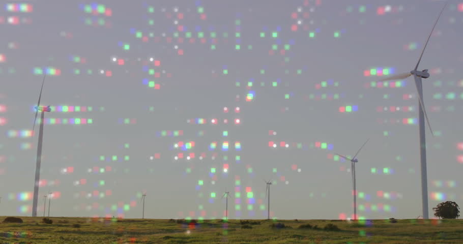 Shutterstock Video