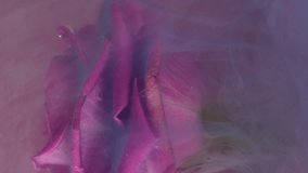 Vertical video. Smoke wave. Underwater flower. Yellow watercolor paint spill in fog pink water abstract flow. Natural rose defocused petal art background . - Powered by Shutterstock - Get 15% off with code: PIKWIZARD15