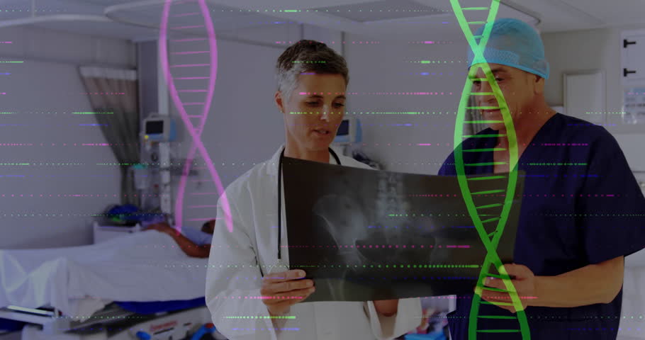 Shutterstock Video