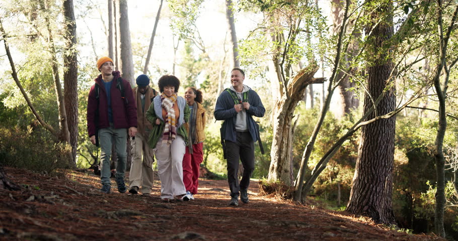 Hiking, group and friends with walking in woods for travel adventure, sightseeing and conversation. Backpacker, happy people and backpack in nature with holiday journey, tourism or exploring together